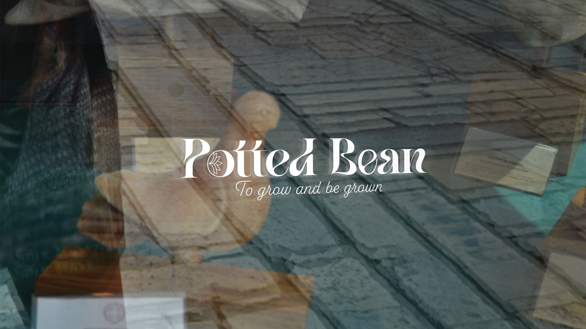 potted bean